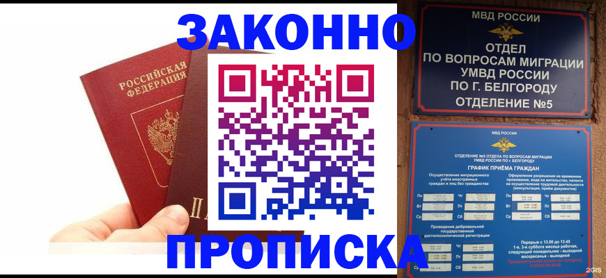 временная регистрация для школы в Михайловске